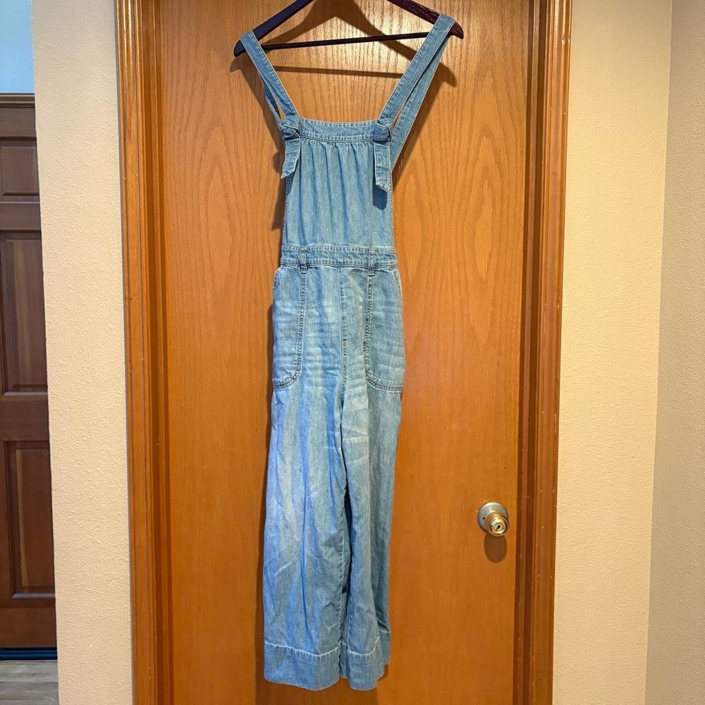 Pilcro Anthropologie Blue Denim Overalls